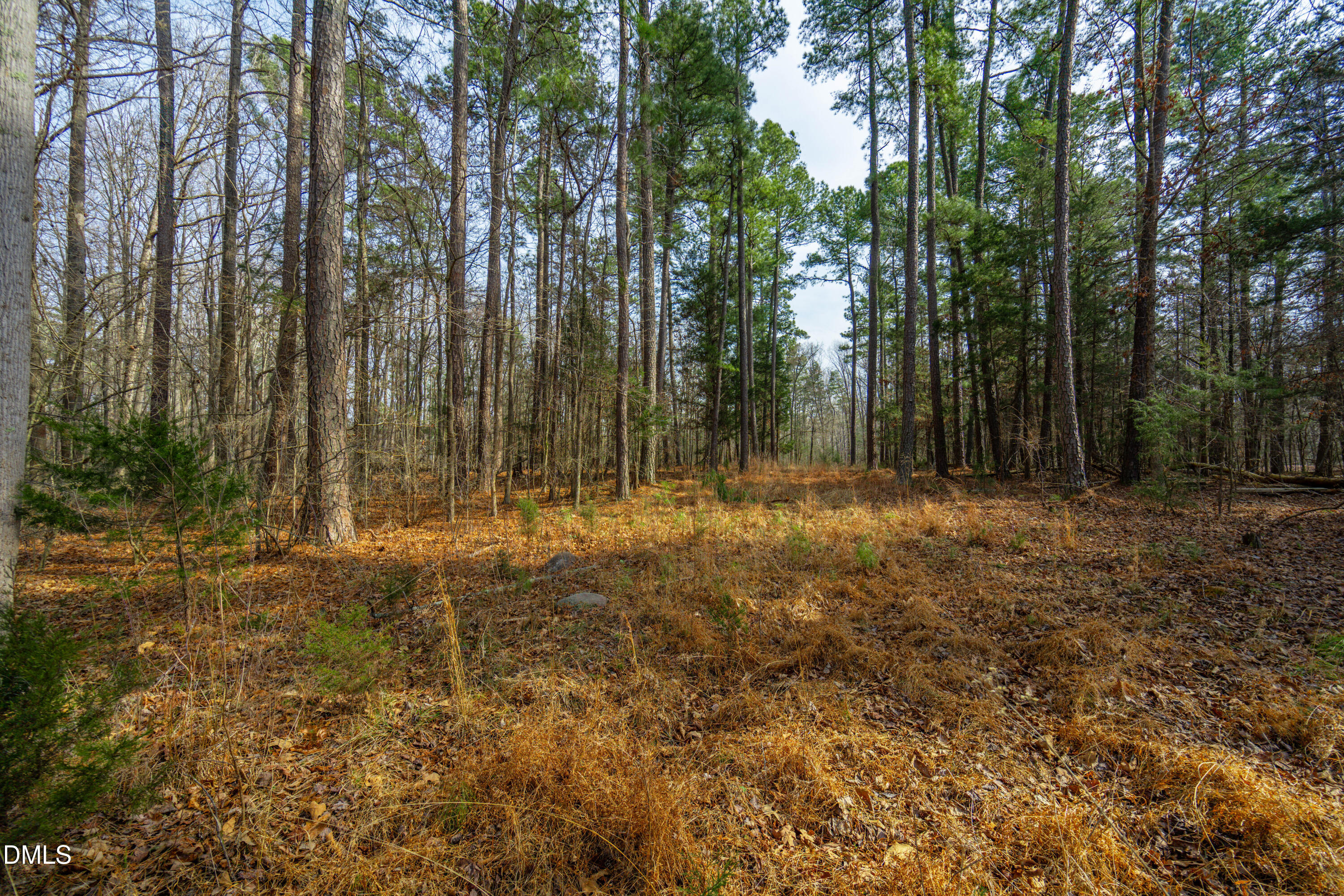 2430 Jones Ferry Road