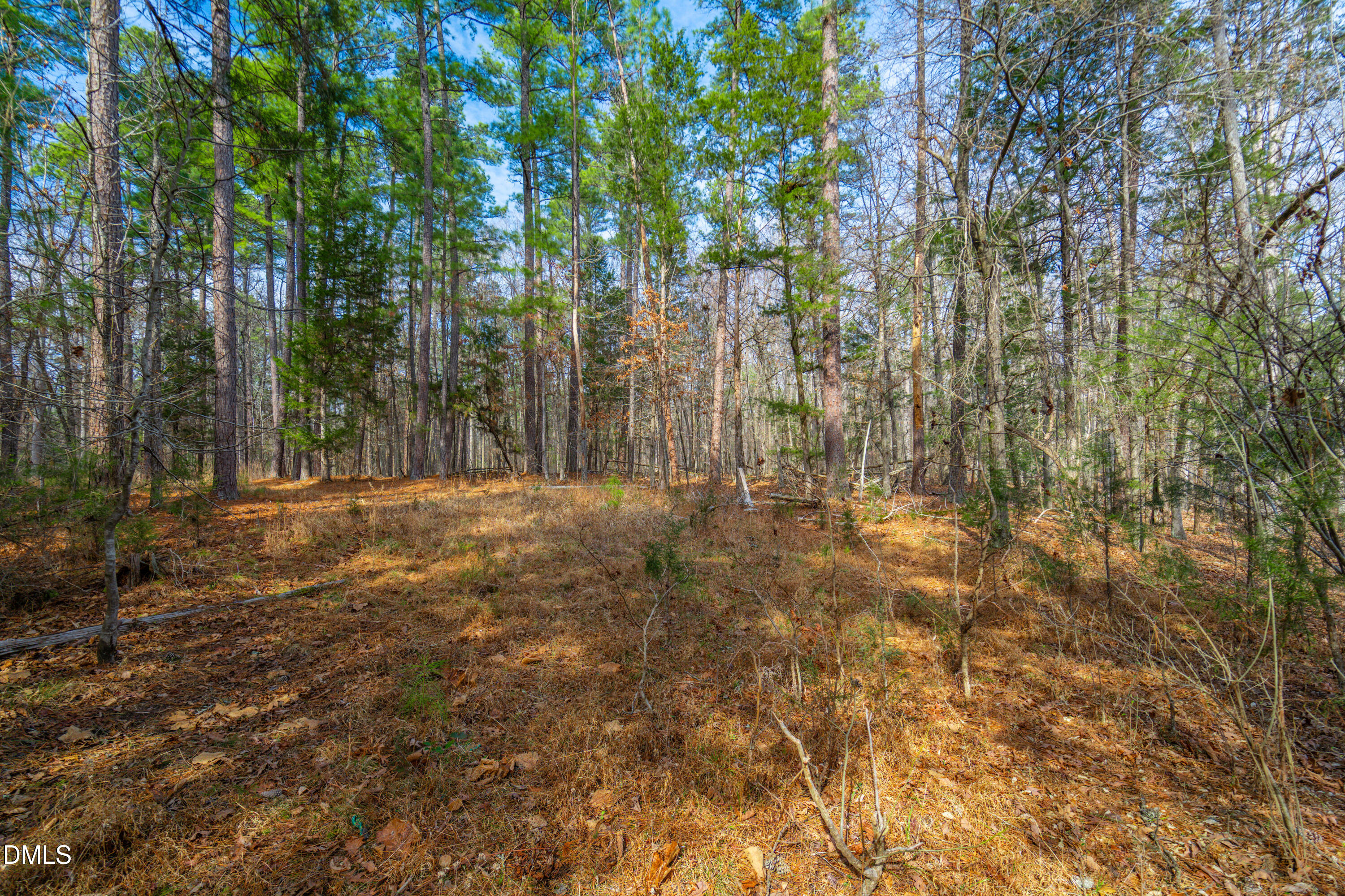 2430 Jones Ferry Road