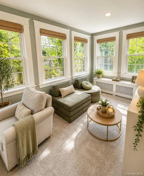 341 Woodland Drive
