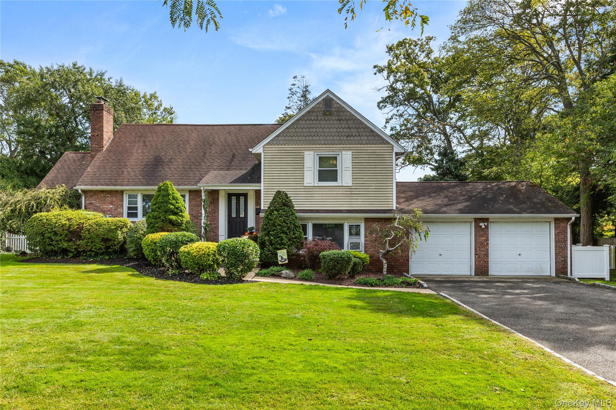 19 Gamecock Lane