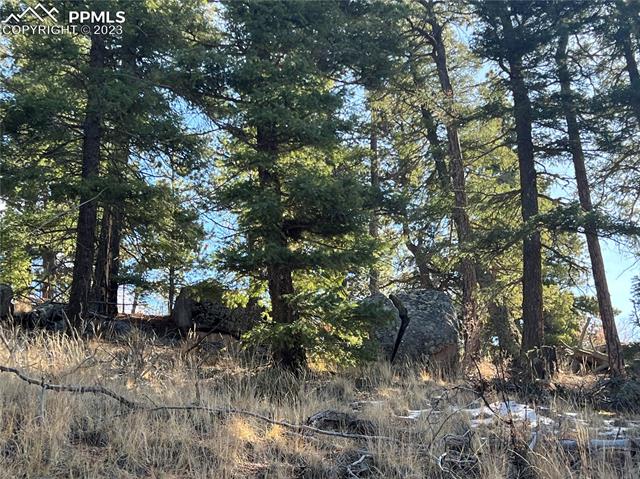 3443 N Mountain Estates Road