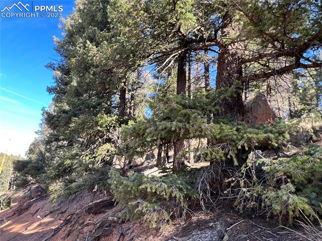 3443 N Mountain Estates Road