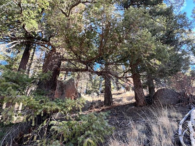 3443 N Mountain Estates Road