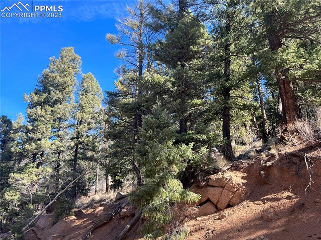 3443 N Mountain Estates Road