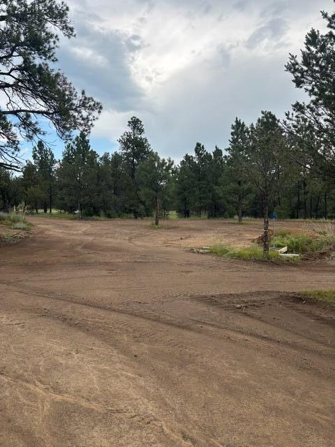 21270 Spirit Mountain Drive