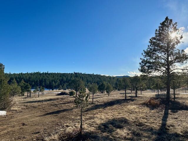 21270 Spirit Mountain Drive