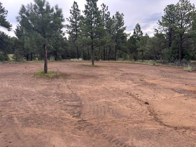 21270 Spirit Mountain Drive