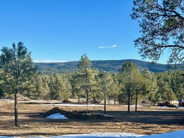 21270 Spirit Mountain Drive