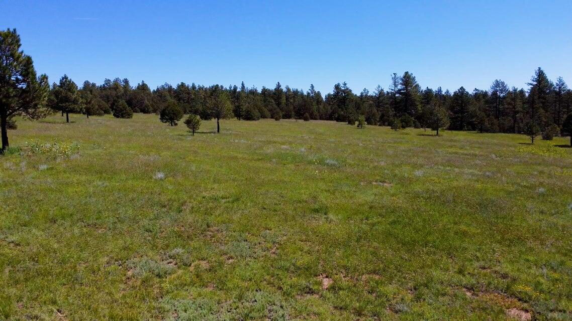 21270 Spirit Mountain Drive