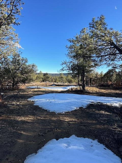 21270 Spirit Mountain Drive