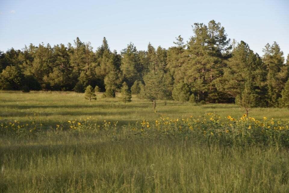 21270 Spirit Mountain Drive