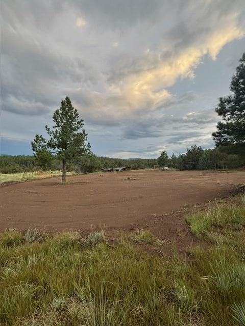 21270 Spirit Mountain Drive