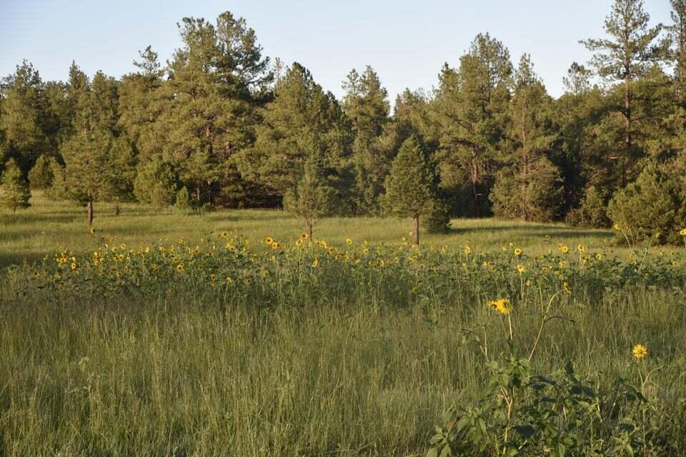 21270 Spirit Mountain Drive