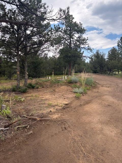 21270 Spirit Mountain Drive