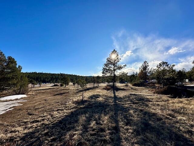 21270 Spirit Mountain Drive