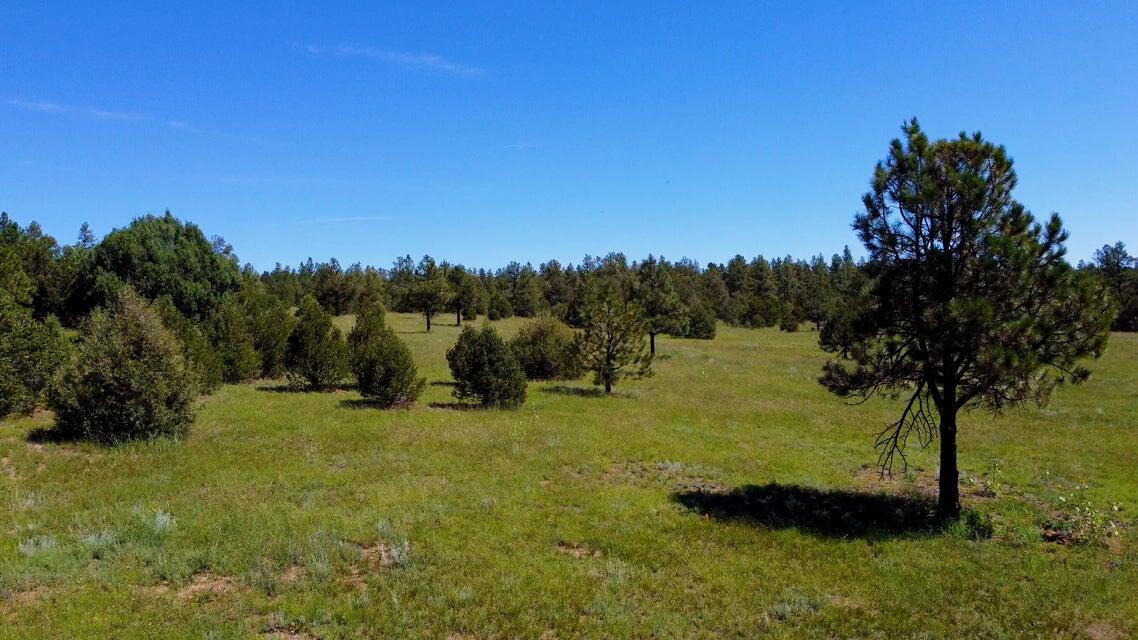 21270 Spirit Mountain Drive