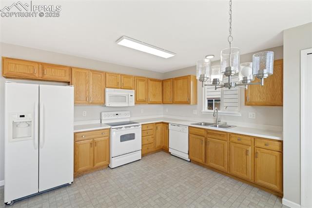 7203 Dove Valley Place