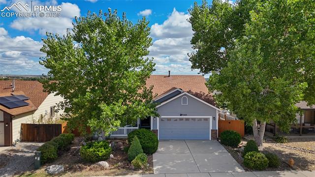 7203 Dove Valley Place