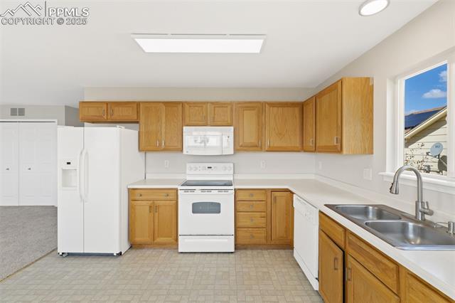 7203 Dove Valley Place