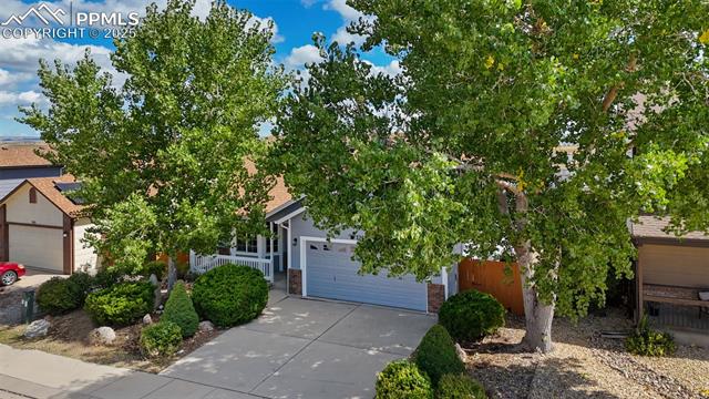 7203 Dove Valley Place