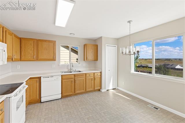 7203 Dove Valley Place