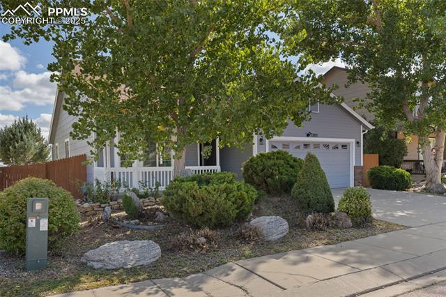 7203 Dove Valley Place