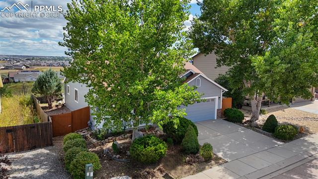 7203 Dove Valley Place