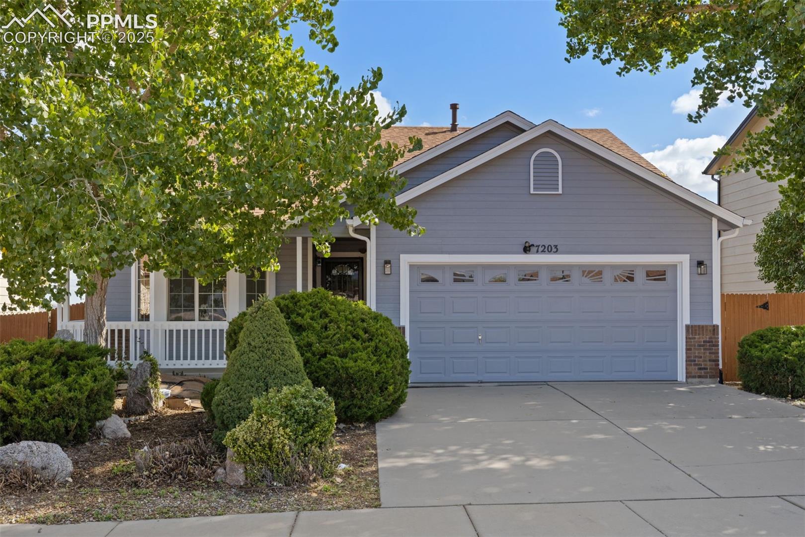 7203 Dove Valley Place