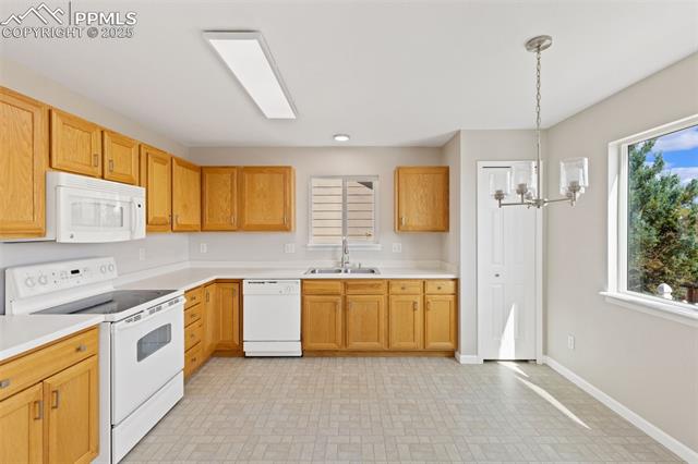 7203 Dove Valley Place