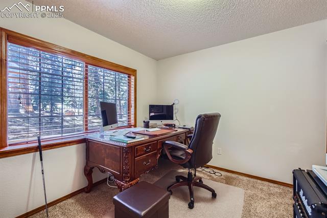 3415 Regent Drive