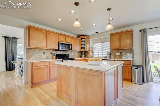 10368 Mount Evans Drive