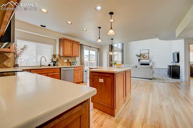 10368 Mount Evans Drive