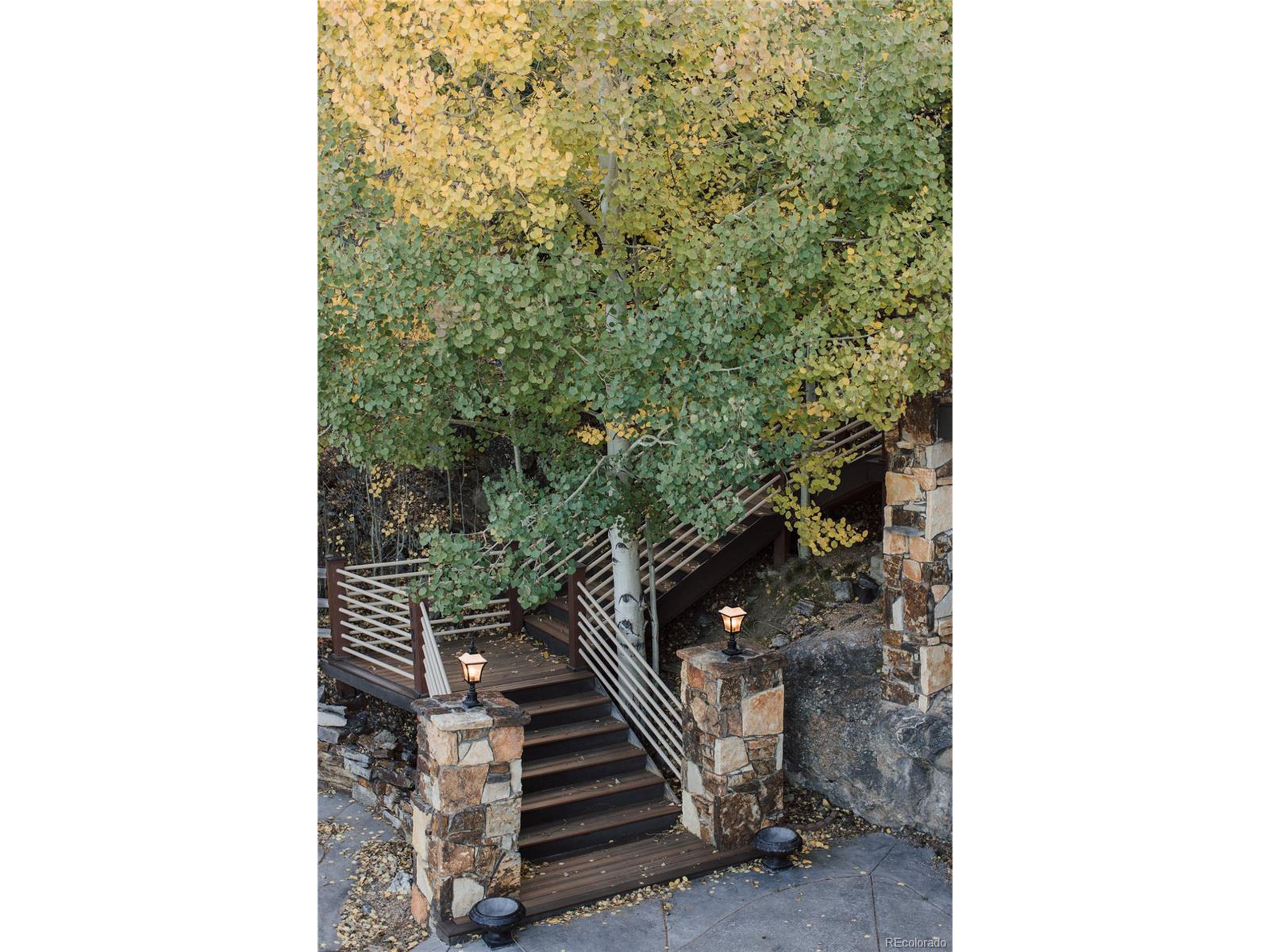 187 Fox Ridge Dr