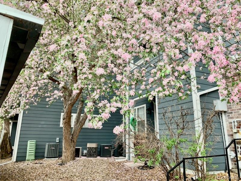 11129 Alcott Street Unit: B