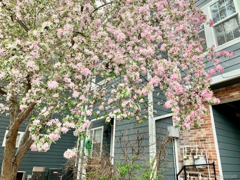 11129 Alcott Street Unit: B