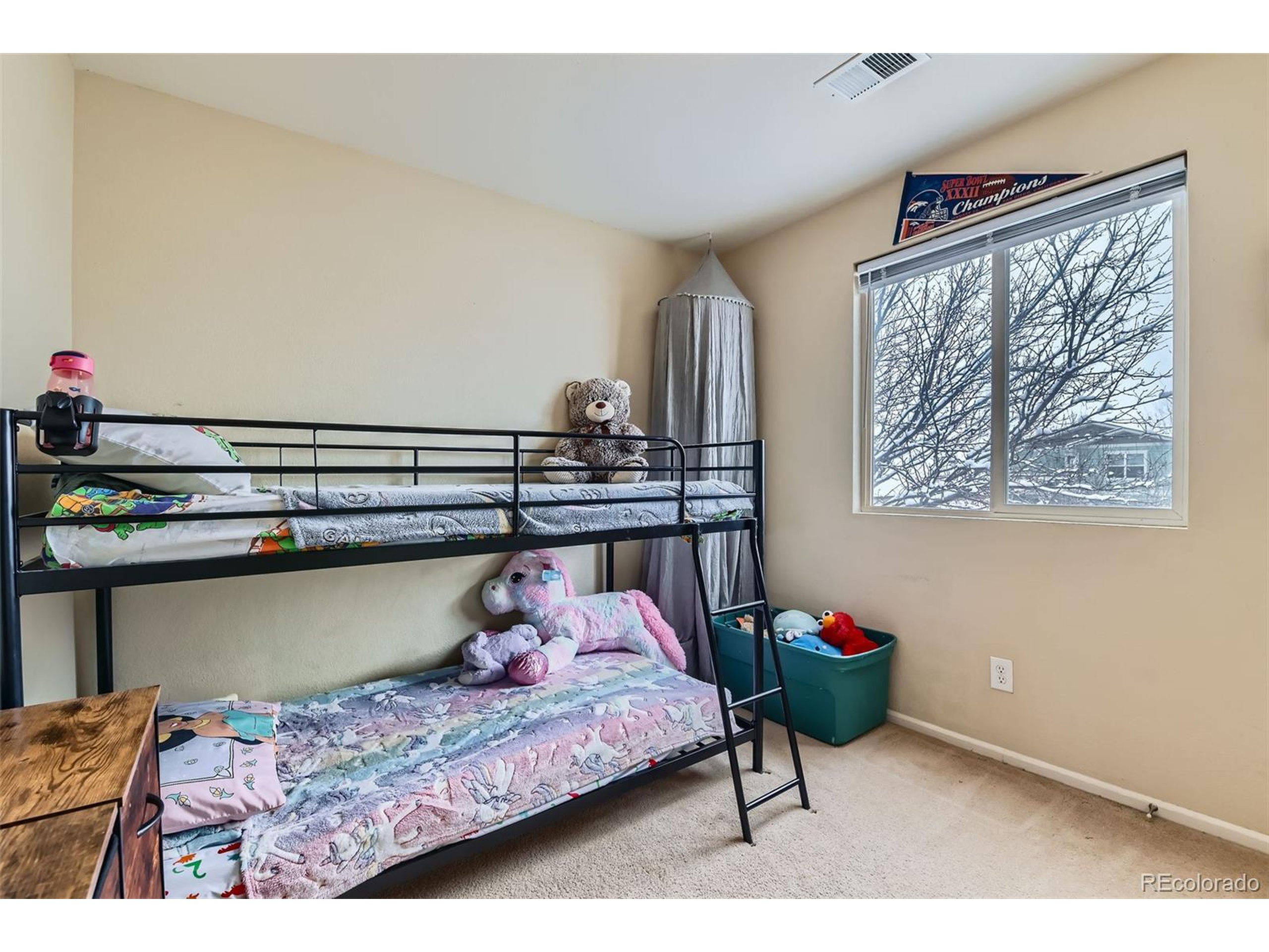 4552 Crestone Peak St