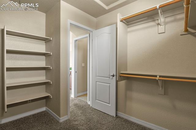 315 VENISON CREEK Drive