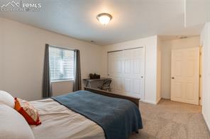 8229 Hardwood Circle