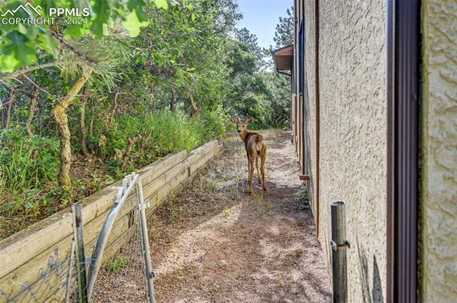 18715 Spring Valley Road