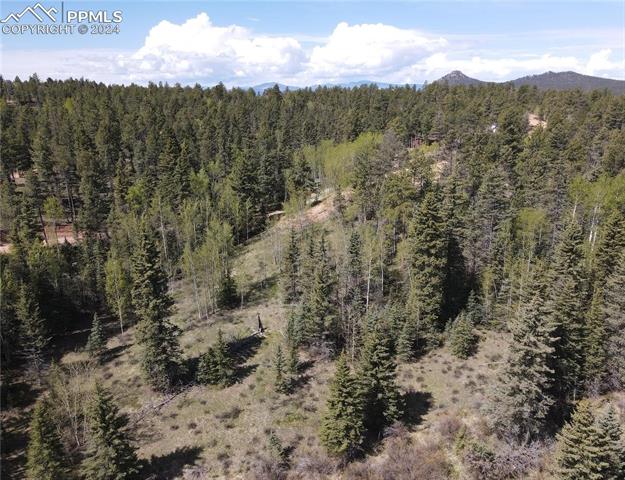 79 Trout Creek Circle