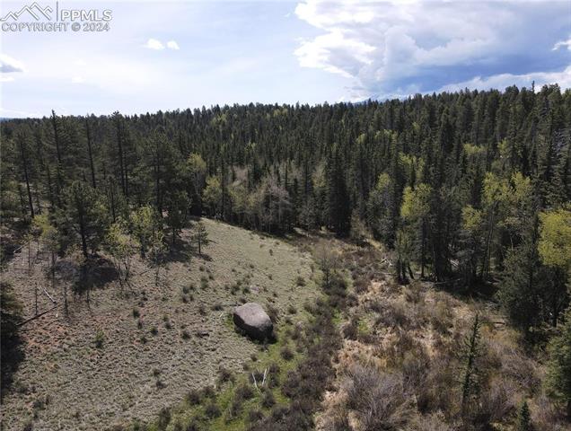 79 Trout Creek Circle