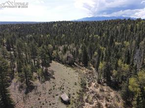 79 Trout Creek Circle