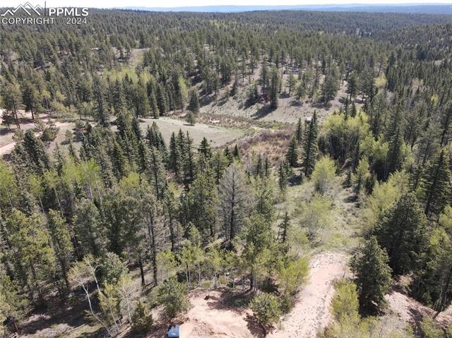 79 Trout Creek Circle