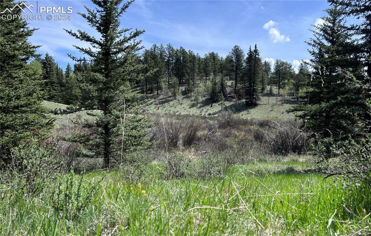 79 Trout Creek Circle