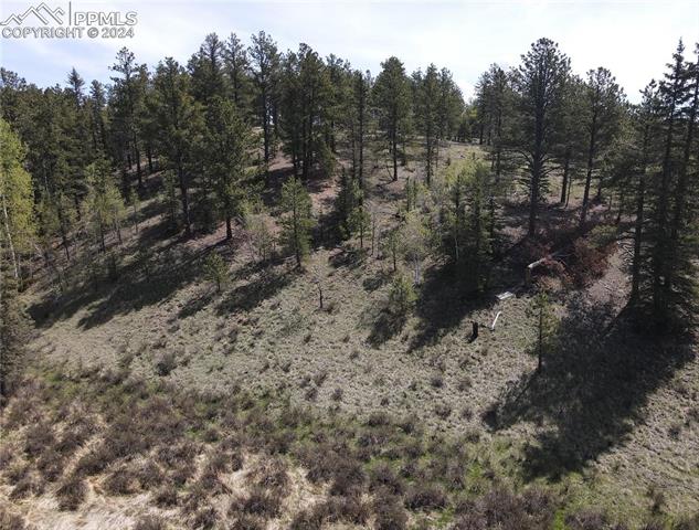 79 Trout Creek Circle