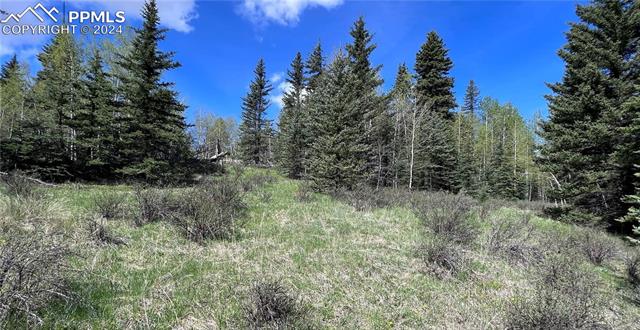 79 Trout Creek Circle