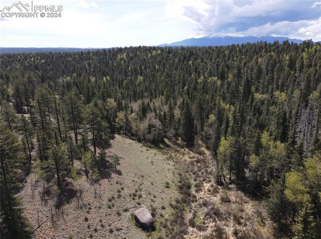 79 Trout Creek Circle