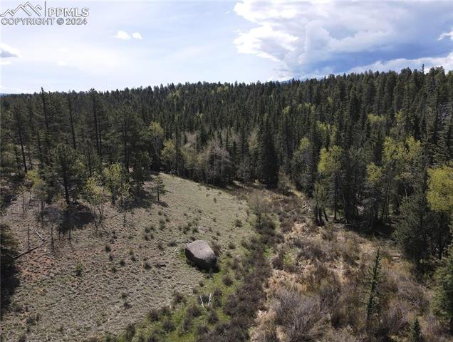 79 Trout Creek Circle