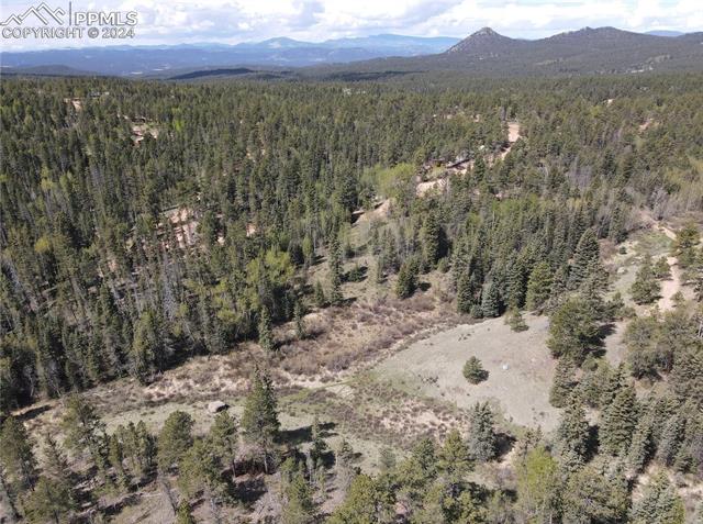 79 Trout Creek Circle