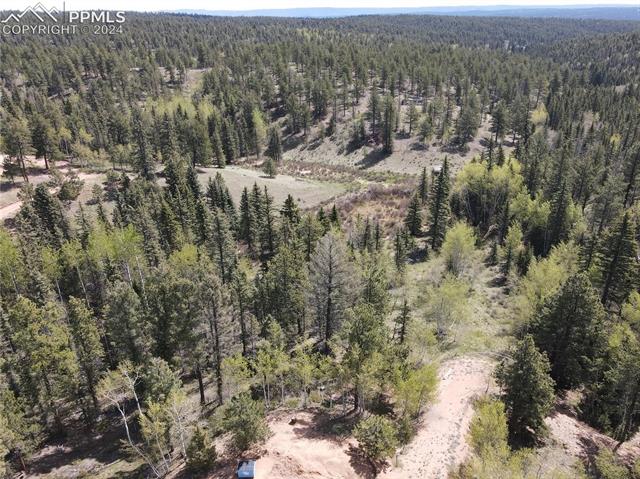 79 Trout Creek Circle